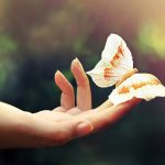 life-1024×640