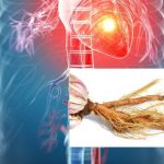 73f2c2c123ebe1bab37e9f33390c0704