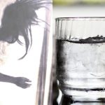 98b8030056555569a801245a3f0fa5c5