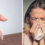 bb3afd02cebdcc6dcd4cb410ea7767fe