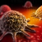 vezio-lastele-5a0599271752d