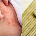 4f18196a85a6606714f126da84e58bfd