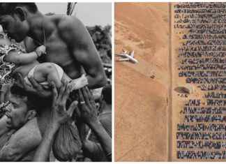 26 įspūdingų nuotraukų, kurios tapo geriausiomis 2019 m. pagal žurnalo National Geographic versiją