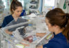 Nakčiai motina uždengė neišnešiotą sūnelį pirštine. Ryte medicinos seserys negalėjo patikėti savo akimis!