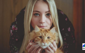 – Turi rinktis: arba aš, arba katė!