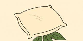 Anyta kaip mano anyta kiekvieną kartą padeda vyrui lauro lapą po pagalve. Maniau, kad tai kažkokia magija… kol nesužinojau tiesos…