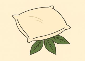 Anyta kaip mano anyta kiekvieną kartą padeda vyrui lauro lapą po pagalve. Maniau, kad tai kažkokia magija… kol nesužinojau tiesos…